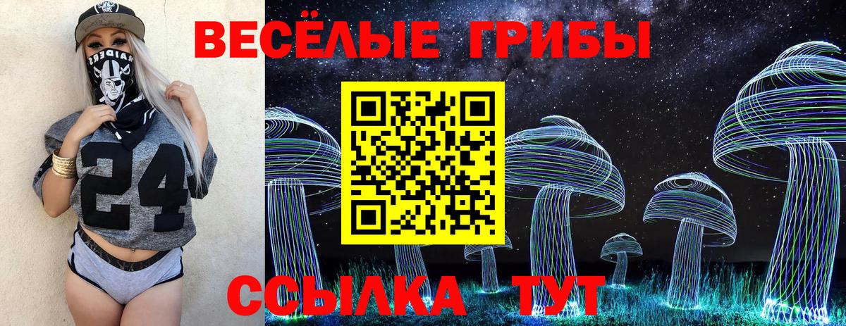 Галлюциногенные грибы Psilocybe Углич