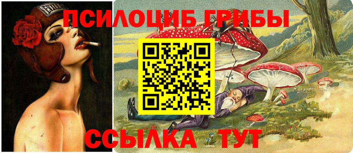 Псилоцибиновые грибы MAGIC MUSHROOMS  Галлюциногенные грибы прущие грибы  Углич  Вход с VPN 